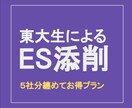 大手内定多数の東大卒元就活生がESの添削をします 【５件まで対応】マスコミでの校閲経験を生かして丁寧に添削指導 イメージ1