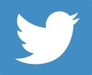 1日20分の非常識なTwitter運用法を教えます フォロワー増加し見込み客を獲得する専門コンサルタントの秘奥義 イメージ5