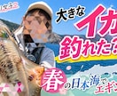 伸びる動画に！視聴者を惹きつけるサムネ制作します 丁寧ヒアリング×最短納品｜初めてでも安心対応 イメージ5