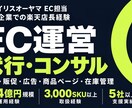 元アイリスEC担当がEC運営代行・コンサルします 上場企業での店長経験｜月商100万〜4億円規模の運用経験 イメージ1