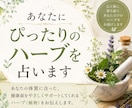 あなたにぴったりのハーブを占います あなたの体質に合ったハーブ（植物）をお伝えします。 イメージ1