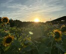 あなたの心の涙を拭います 誰にも理解されない心の声を聴かせてください イメージ2