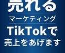 SNSマーケティングに困っている方に届けます ビジネス、SNSマーケティングのプロフェッショナル イメージ1