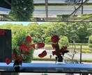 お花をペットポドルで飾れるように教えます 華道師範所有者が、華道の要素を活かして、お教えします。 イメージ4
