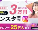 最安級！プロが総額3万でインスタ月15投稿します 【25万人越え】SNS運用代行会社のプロ【先着20名限定！】 イメージ1