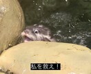 お悩みお聞きします 心のお悩み、お聞きします。どんな相談でも大丈夫です。 イメージ1