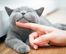 3分だけでも、あなたの話聞きます じっくり傾聴します。忙しいあなたの息抜きにお話し聞かせてね イメージ4