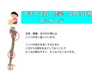 筋、骨、関節をもとに身体の仕組みや動き方を教えます 身体に関わるお仕事をされる方、医療系学生向け！ イメージ4