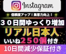 インスタ✦リアル日本人30日間ゆっくり増加します 日本人200人✦30日間ゆっくり増加｜いいね250個付き イメージ1