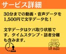 30分まで1,500円！文字起こします ケバ取り・タイムスタンプ・話者分離で対応いたします。 イメージ2