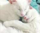 男目線の相談お受けします 女性では分かりにくい男目線での感情を考えてご相談にのります。 イメージ1