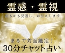 対面鑑定級のチャット占い★霊感・霊視で超鑑定します 占いし放題の30分！どんなことでも全てを見通す霊感霊視で解決 イメージ1