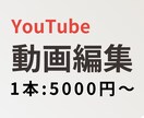 YouTube編集承ります あなたの"伝えたいこと"がちゃんと伝わる映像に。 イメージ1