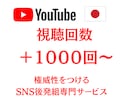 YouTube動画 視聴回数＋１０００増加させます 格安！評価もサービス！おすすめに表示されやすくなります！ イメージ1