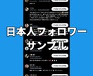 Xツイッター日本人フォロワーを100人〜増やします 【最安】X(旧ツイッター)の日本人100人増加ほぼ減少なし イメージ4
