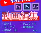 YouTube等の動画編集承ります コミュニケーションを大切にしお客様に寄り添った編集を行います イメージ1