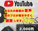 YouTube動画の音声をプロが綺麗に調整します ◆音量調整・EQ調整等の整音で聴きやすい音に調整致します。 イメージ1
