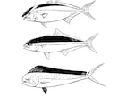 魚のイラストを描きます 1匹〜　リアルとデフォルメの中間くらいの魚の絵を描きます イメージ2