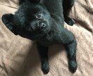 恋愛、人生相談受けます 今の自分を変えたい方、気持ちをスッキリしたい方へ イメージ1