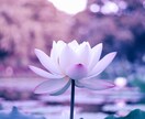 心のお悩み、愚痴、何でも聞きます 一緒に悩んで解決のヒントを見つけられたら嬉しいです。 イメージ5