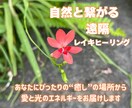 心がふわっと軽くなる遠隔ヒーリングお届けいたします 心と体をやさしく整える「自然と繋がる遠隔ヒーリング」 イメージ1