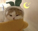 あなたの心に耳を傾けるサービスを提供します 心の本音を誰かに打ち明けてスッキリしませんか？ イメージ1