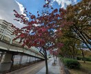 あなたのお話どんな事でもお聞きします 経験豊富な私とお話して楽しく行きましょう〜♪ イメージ6