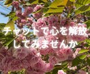 24時間(夜間除く)お友達みたいにチャットします 電話じゃなくてチャットでじっくりお話したい方向けサービスです イメージ3
