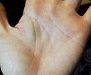 初めて手相鑑定する方専用です。基本手相線鑑定します 各手相線がわかるイラスト付き、分かりやすく鑑定いたします イメージ5