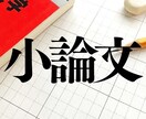24時間即納！志望大学出題傾向対応小論文添削します 最低価格！志望校の傾向に応じた添削指導！解答例と予想問題付！ イメージ1