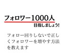 ビデオチャットでアカウント設計、分析をいたします まずはフォロワー1000人を目指すためのノウハウを教えます イメージ3