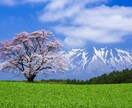 貴方のストレスを解消します 話して楽になろう。仕事やプライベート気にせず何でも話してね イメージ1