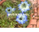 ゆるっと雑談・気分転換に寄り添います あなたの「話したい」気持ちを優しくサポートします イメージ5