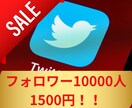 爆安！ツイッターのフォロワー10000人増やします 赤字覚悟の大特価！2月19日までの期間限定です！ イメージ1