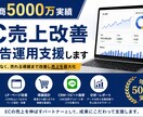 プレミアム広告運用　上位プランます 月間広告運用費が300万円〜までの規模感が目安 イメージ1