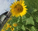 どんなお話でも真摯にうけとめます 心の全てを吐き出してスッキリしたいあなたへ イメージ1