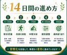 食事写真で14日間ダイエット伴走します 現役トレーナーが毎日個別助言＆途中で軌道修正で安心！ イメージ2