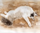 原画納品　猫の肖像画を水彩画で制作します あなたの猫ちゃんをお描きして原画をお届けします。 イメージ5