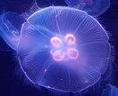 あなたの感情、受け止めます どした、何かあった？聞くよ。ゆったりとしっかりと。 イメージ1