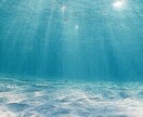 HSPの方の辛いお気持ちを受け止めます 私もHSPです。「HSP体験」を一緒に気楽にお話しませんか？ イメージ6