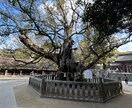 龍神のエネルギーであなたの恋愛を導きます 片思い・結婚・複雑恋愛について【龍神の言葉】から鑑定します。 イメージ6