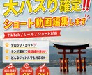 TikTok・インスタ用ショート動画編集します テロップ・カット、ジャンルご指定いただければ対応します‼️ イメージ1