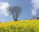 リピーター様用:仕事に関するお悩み聞きます 仕事を辞めるか辞めないか悩んでいるあなたへ イメージ1