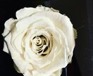 お友達感覚で大丈夫、お話し相手になります シングルマザー・不倫・離婚・子育てなどどんなことでも大丈夫 イメージ1