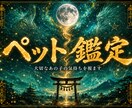 ペット鑑定｜愛する家族の想いを読み解きます 大切な家族。言葉がなくても、想いは必ず届いています。 イメージ1