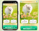 魅力を引き出すLPファーストビューを制作致します 3名様限定価格◆寄り添い・伝わるFVを制作致します イメージ7