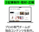Webサイト＆SEOダッシュボード制作します 【1名限定】知識ゼロでもプロ認定の専門チームが丁寧にサポート イメージ5