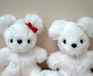 限定！手のひらサイズ可愛いテディベア売ります 限定！！10体のみ半額 手のひらサイズ可愛いテディベア イメージ6