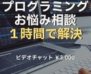 ビデオチャット可！プログラミングの問題解決します 【C++/C#/Java】お悩み・お困りごと・疑問を解決！ イメージ1