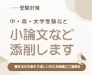 小論文を丁寧に添削します｜合格へのアドバイスします 進学塾での進路指導経験＆出版業界でのライター経験有 イメージ1